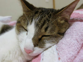 IMG02876.jpg