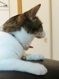 IMG02877.jpg