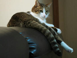 IMG02878.jpg