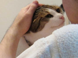 IMG02879.jpg