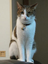 IMG02880.jpg