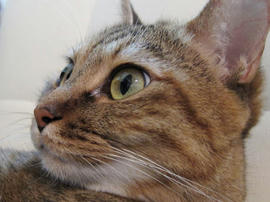 IMG02884.jpg