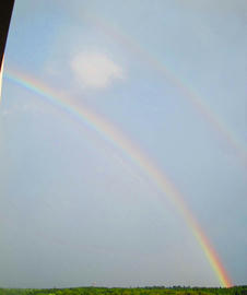 IMG02911.jpg