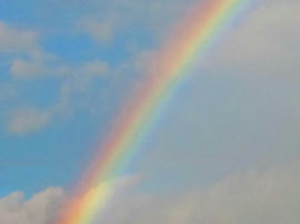 IMG02922_2.jpg