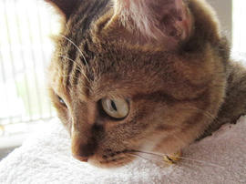 IMG02887.jpg