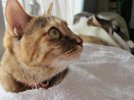 IMG02891.jpg