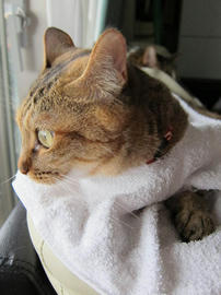 IMG02892.jpg