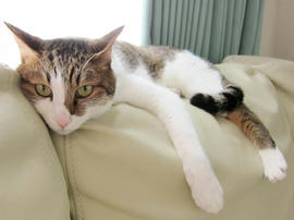 IMG02893.jpg
