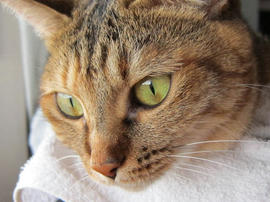 IMG02897.jpg