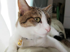IMG02898.jpg