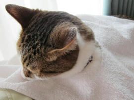 IMG02899.jpg