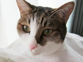 IMG02900.jpg
