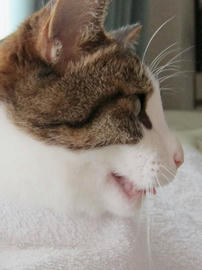 IMG02901.jpg