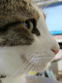 IMG02929.jpg
