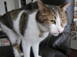 IMG02934.jpg