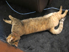 IMG02935.jpg