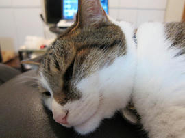 IMG02941.jpg