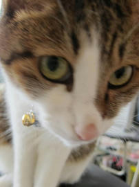 IMG02945.jpg