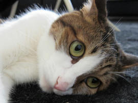 IMG02948.jpg