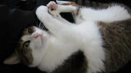 IMG02947_1.jpg