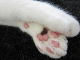 IMG02950.jpg
