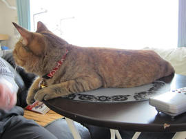 IMG02951.jpg