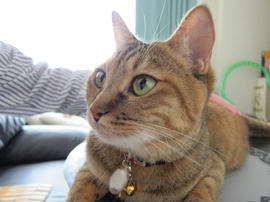 IMG02952.jpg