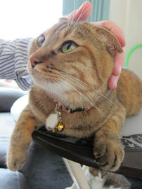 IMG02953.jpg