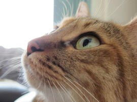 IMG02954.jpg