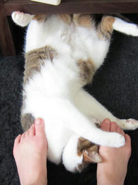 IMG02956.jpg