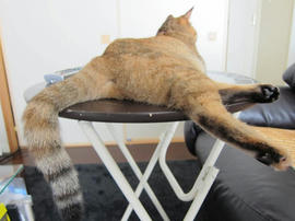 IMG02960.jpg