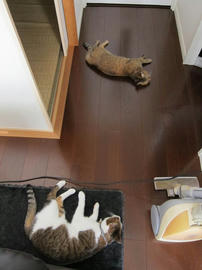 IMG02962.jpg