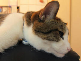 IMG02964.jpg