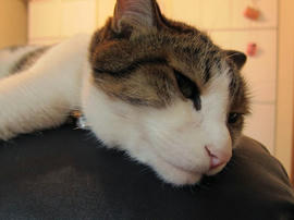 IMG02965.jpg