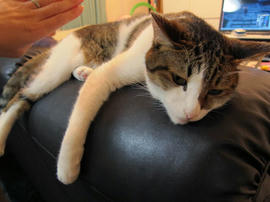 IMG02966.jpg