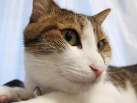 IMG02969.jpg