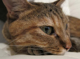 IMG02973.jpg