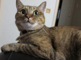 IMG02974.jpg
