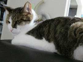 IMG02976.jpg