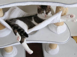 IMG02981.jpg