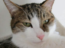 IMG02984.jpg