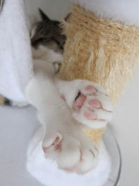 IMG02985.jpg