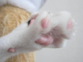 IMG02987.jpg