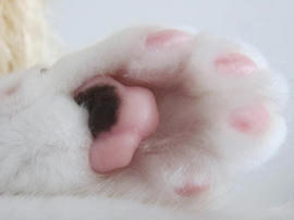 IMG02988.jpg