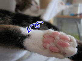 IMG02989.jpg