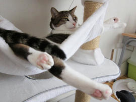 IMG02990.jpg