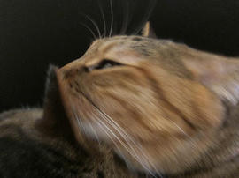 IMG02994.jpg