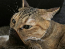 IMG02995.jpg