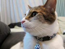 IMG02999.jpg