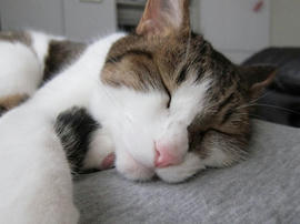 IMG03001.jpg